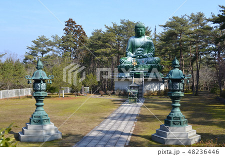 能登長寿大仏 穴水町 能登長寿大仏 穴水町 48236446