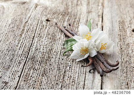 Vanilla with jasmine Vanilla with jasmine 48236706