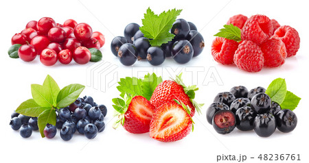 Collection of fresh berries on white background 48236761