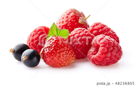 Ripe berries in closeup 48236805