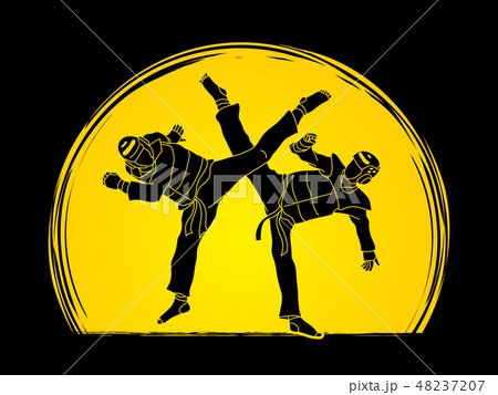 Taekwondo fighting graphic vector. 48237207