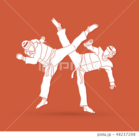 Taekwondo fighting graphic vector. Taekwondo fighting graphic vector. 48237208