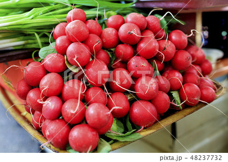 Dry tubers of red radish on the background Dry tubers of red radish on the background 48237732