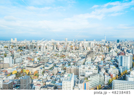 panoramic city skyline night view in Tokyo, Japan 48238485