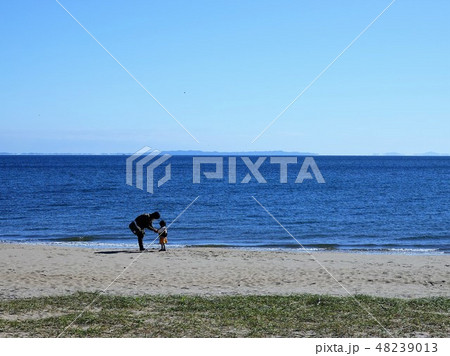 海辺でたわむれる「孫とおばあちゃん」の風景 48239013