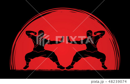 Kung fu action ready to fight vector Kung fu action ready to fight vector 48239074