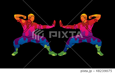 Kung fu action ready to fight vector Kung fu action ready to fight vector 48239075