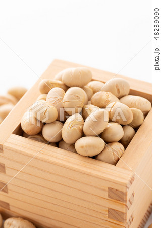 大豆　炒り豆 48239090