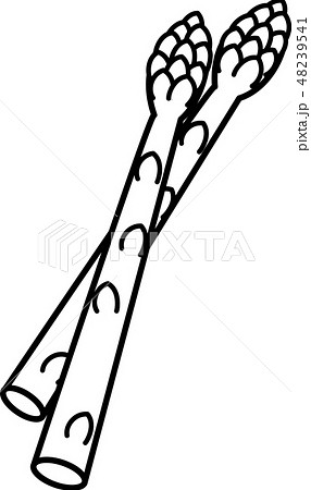 アスパラガス 春野菜 白黒線画のイラスト素材