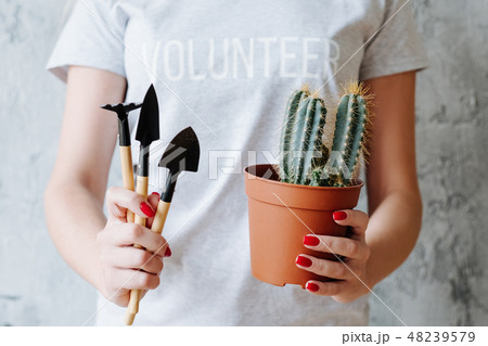 planting volunteer nature protection plant tool planting volunteer nature protection plant tool 48239579