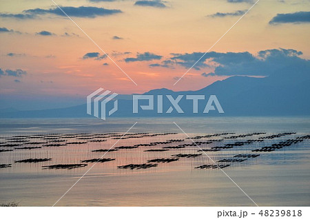 夕暮れの有明海 48239818