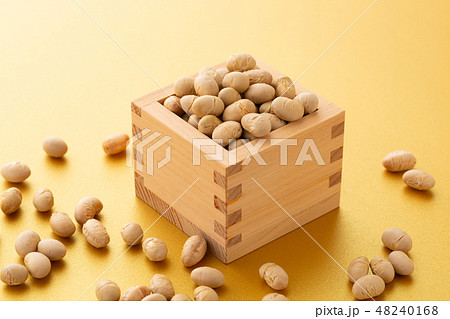 大豆　炒り豆 48240168