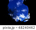 水底から見上げる桜 48240462