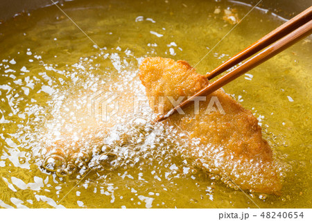 魚フライ 魚フライ 48240654