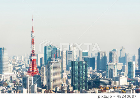 city skyline aerial view of tokyo tower in Japan 48240687