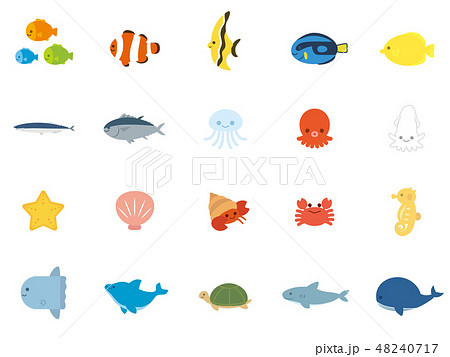 海の生き物 魚セット1のイラスト素材