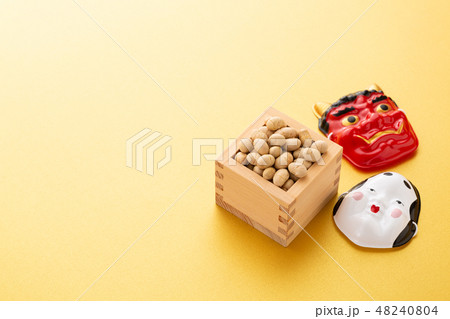 大豆 炒り豆 大豆 炒り豆 48240804
