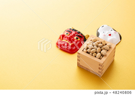 大豆　炒り豆 48240806