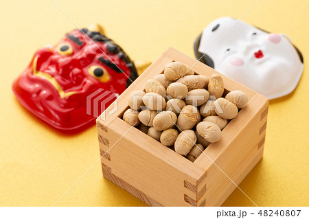 大豆　炒り豆 48240807