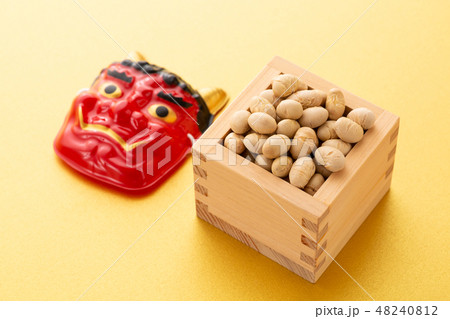 大豆　炒り豆 48240812