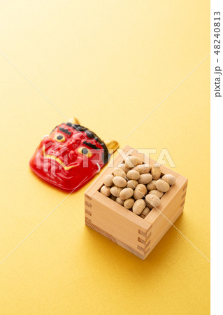 大豆　炒り豆 48240813