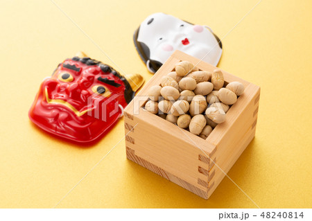 大豆　炒り豆 48240814