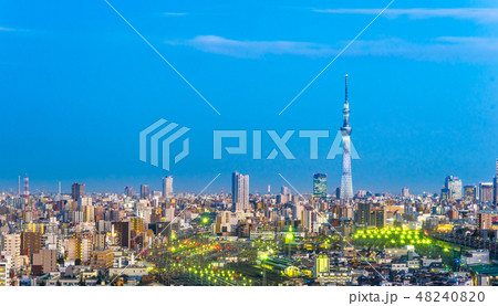 city skyline night aerial view in Tokyo, Japan 48240820