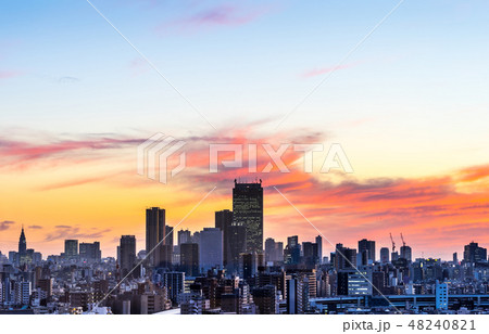 city skyline night aerial view in Tokyo, Japan 48240821