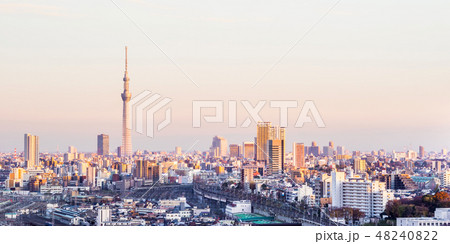 city skyline night aerial view in Tokyo, Japan 48240822