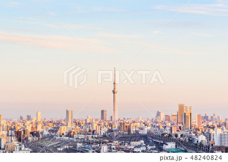 city skyline night aerial view in Tokyo, Japan 48240824
