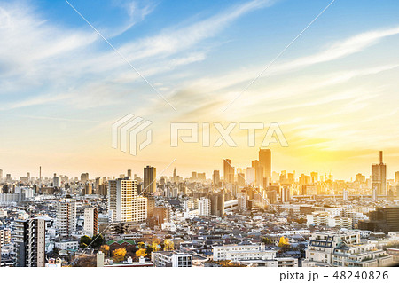 city skyline aerial view in Tokyo, Japan city skyline aerial view in Tokyo, Japan 48240826