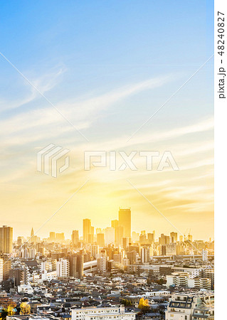city skyline aerial view in Tokyo, Japan city skyline aerial view in Tokyo, Japan 48240827