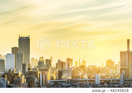 city skyline aerial view in Tokyo, Japan city skyline aerial view in Tokyo, Japan 48240828