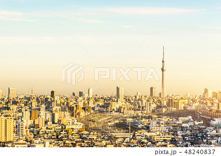 city skyline aerial view in Tokyo, Japan city skyline aerial view in Tokyo, Japan 48240837