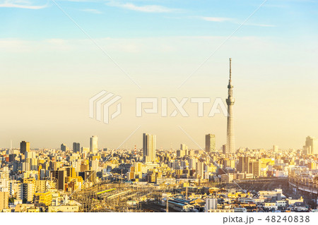 city skyline aerial view in Tokyo, Japan city skyline aerial view in Tokyo, Japan 48240838