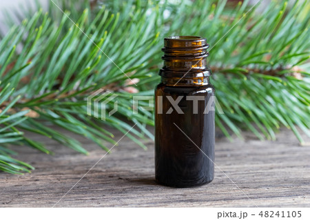A bottle of pine essential oil with pine branches A bottle of pine essential oil with pine branches 48241105