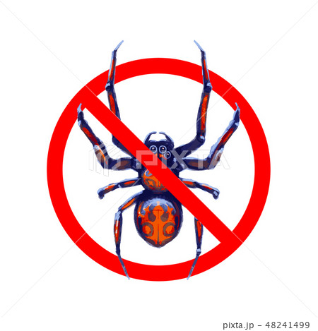 No exotic spiders, red forbidden sign on white No exotic spiders, red forbidden sign on white 48241499