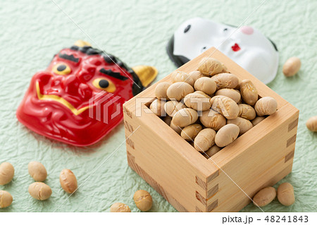 大豆 炒り豆 大豆 炒り豆 48241843