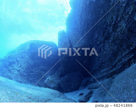与那国島 海底遺跡 与那国島 海底遺跡 48241866