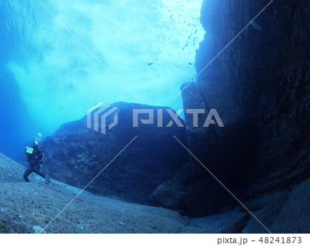 与那国島 海底遺跡 与那国島 海底遺跡 48241873