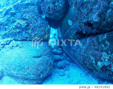 与那国島　海底遺跡 48241892