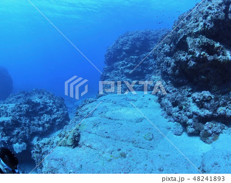 与那国島　海底遺跡 48241893