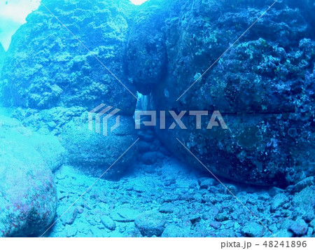 与那国島 海底遺跡 与那国島 海底遺跡 48241896