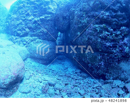 与那国島 海底遺跡の写真素材 4418