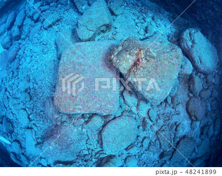 与那国島　海底遺跡 48241899
