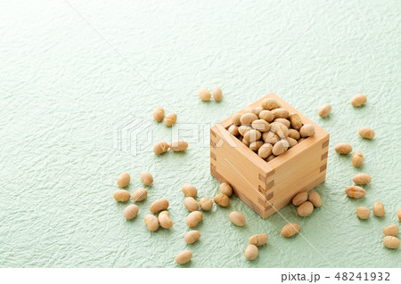 大豆　炒り豆 48241932