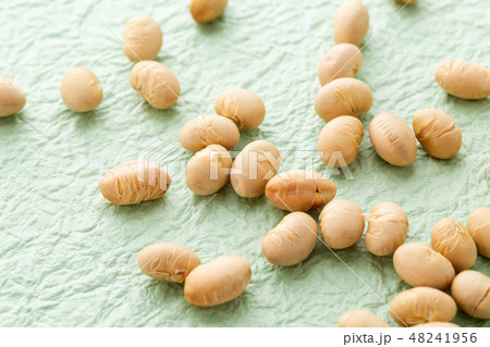 大豆　炒り豆 48241956