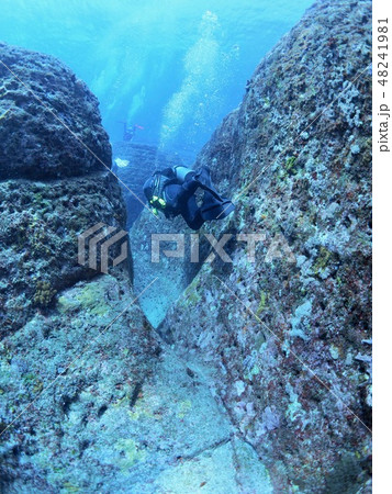 与那国島 海底遺跡 与那国島 海底遺跡 48241981