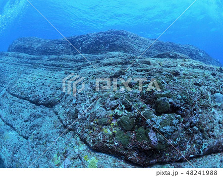 与那国島 海底遺跡 与那国島 海底遺跡 48241988