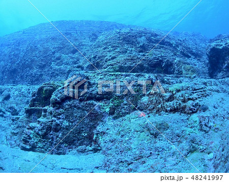 与那国島 海底遺跡 与那国島 海底遺跡 48241997